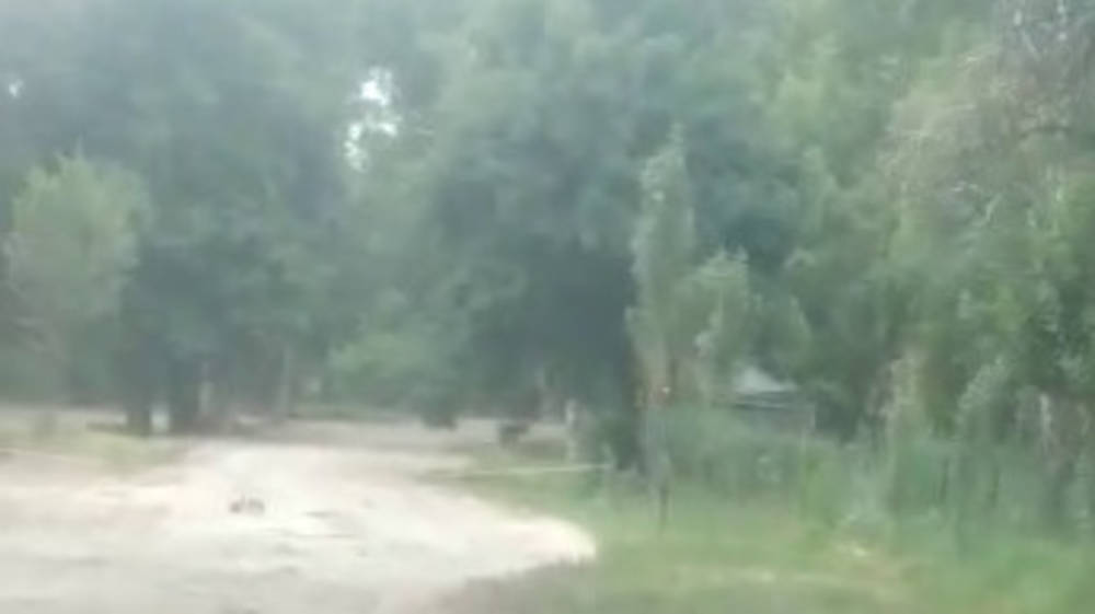 В Карагачевой роще месяц не могут отремонтировать прорыв трубы. Видео
