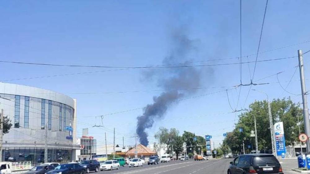 Что горело возле Аламединского района? Видео горожан