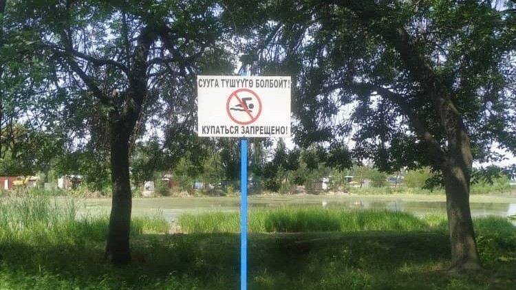 Иллюстрациялык сүрөт