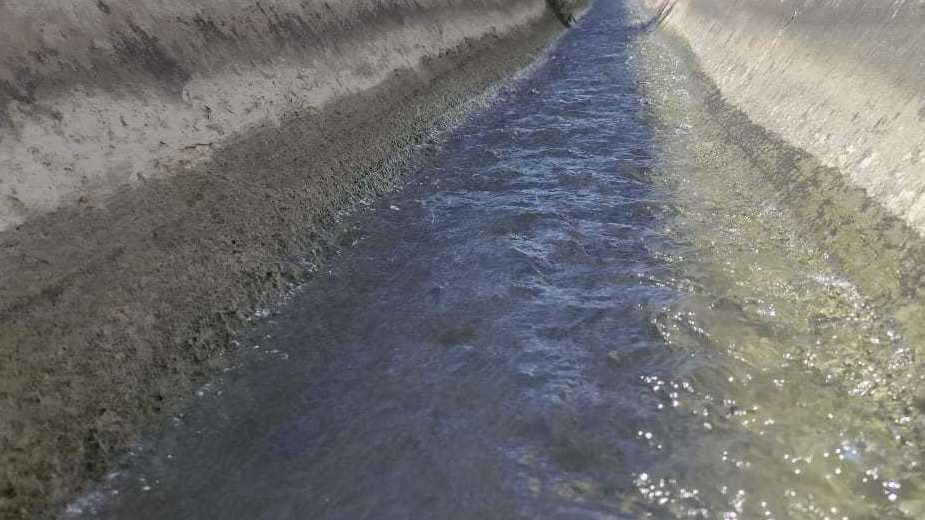 Иллюстрациялык сүрөт