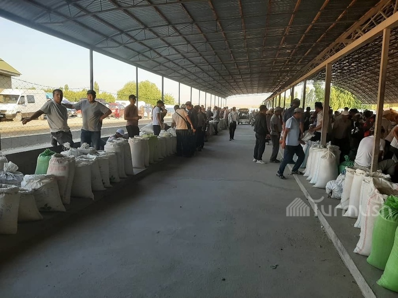 Variety of rice exported from Batken to Uzbekistan - AKIpress News Agency