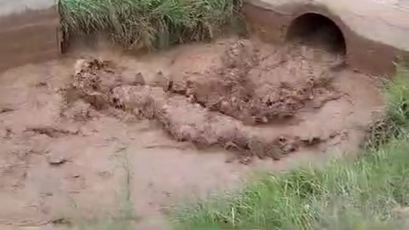 Иллюстрациялык сүрөт