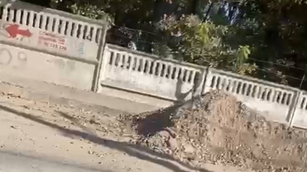 Зачем в жилмассиве Ак-Тилек копают новые дороги? Видео жительницы