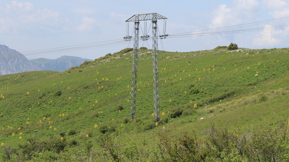 Иллюстрациялык сүрөт