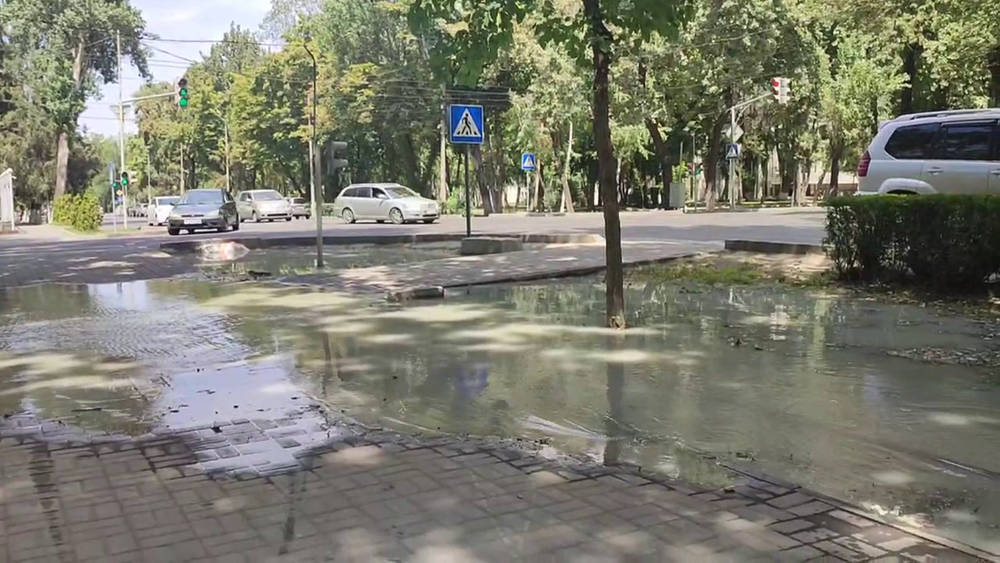 На Тыныстанова вода из арыка затопила тротуар. Видео