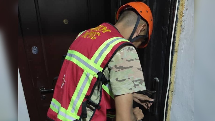 Иллюстративное фото