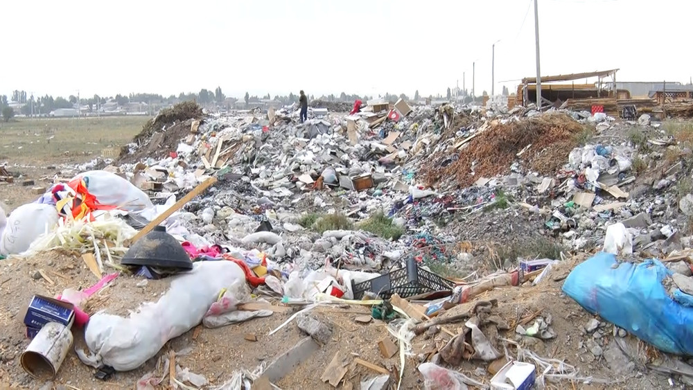 иллюстративное фото