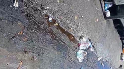 Грязь и жижа возле мусорки в Джале: Горожанка просит помыть асфальт. Видео