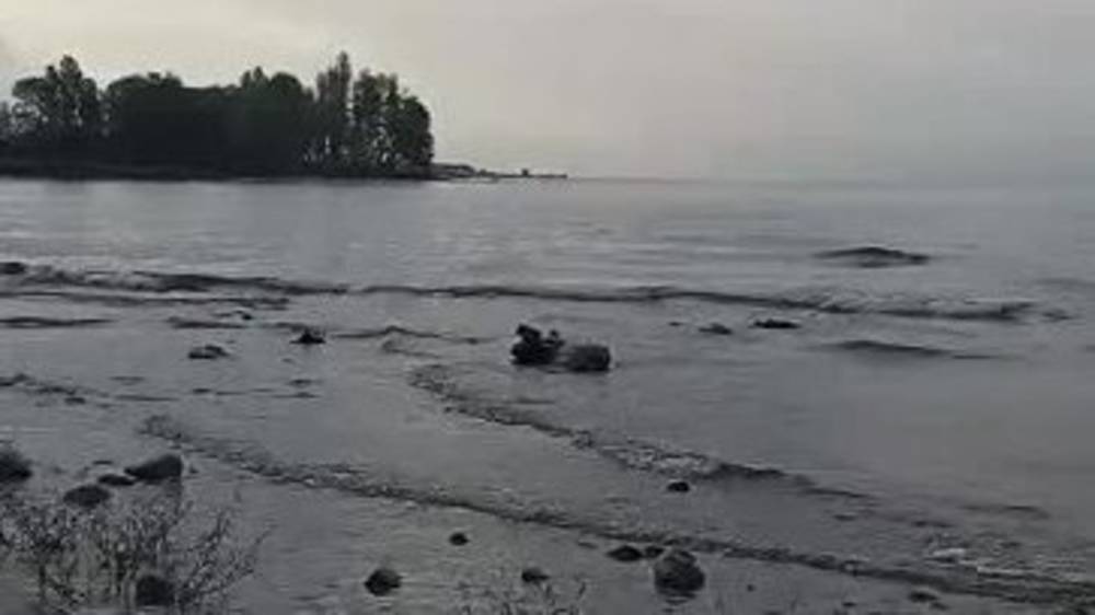 Пляж Иссык-Куля в Бостери весь в мусоре. Видео