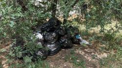 В 7 мкр в сквере под деревом устроили мусорку. Фото