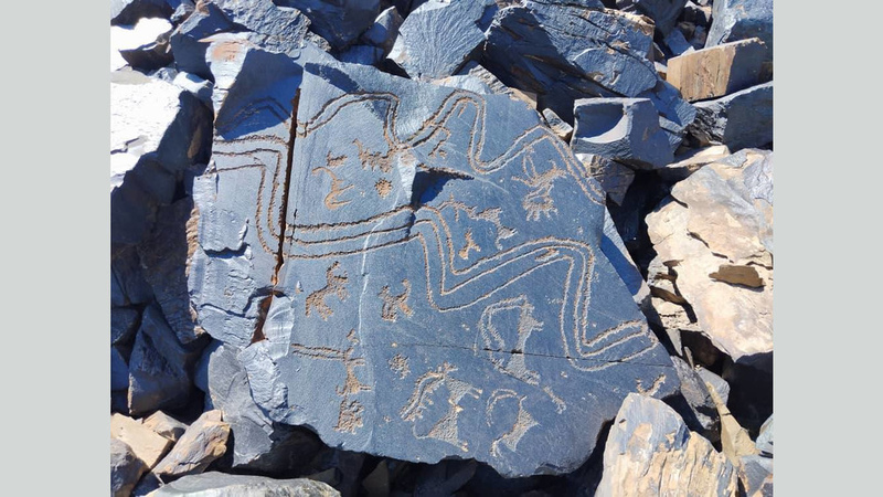 katta lablar, mushuk, kokrak, ayollar