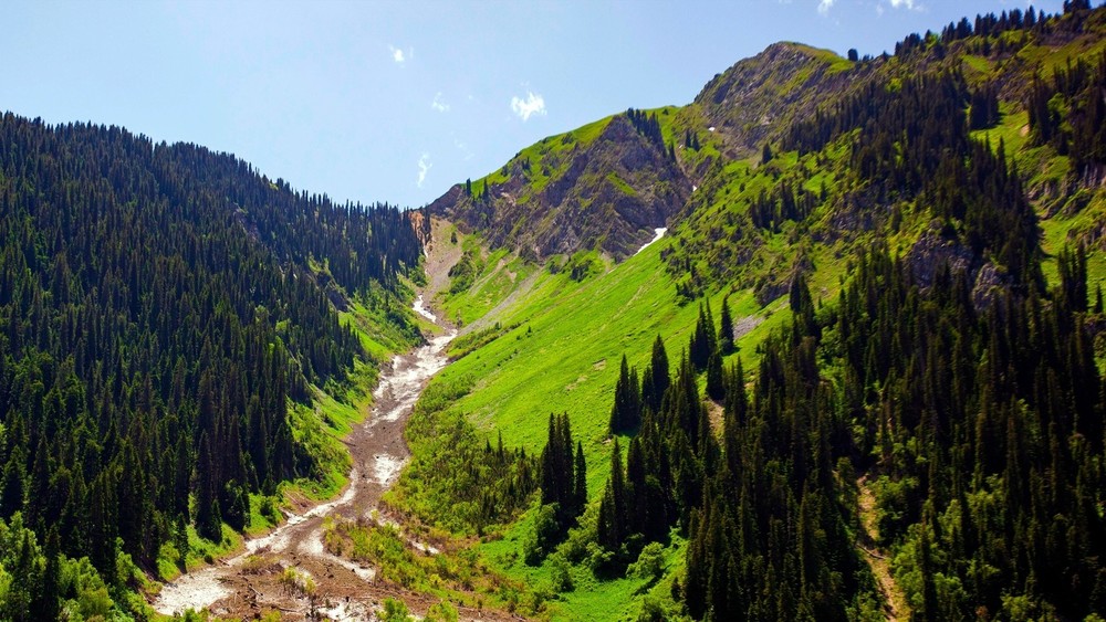 Иллюстрациялык сүрөт