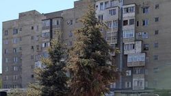 На Медерова сохнет елка для продажи. Фото горожанина
