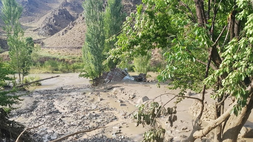 Иллюстративное фото