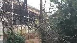 Возле детсада на ул.Саманчина высохло дерево и может упасть на аллею. Видео