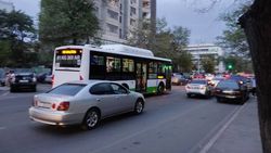 Водитель автобуса №48 высадил пассажиров посреди дороги. Фото горожанина