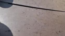 В парке «Ынтымак-2» на детской площадке горка в аварийном состоянии. Видео