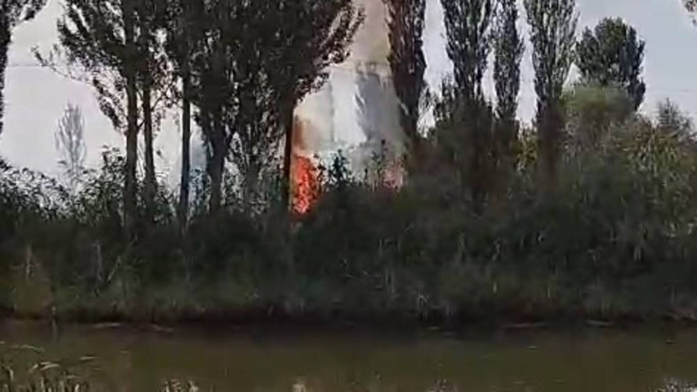 В совхозе Фрунзе сгорело сухотравье. Видео