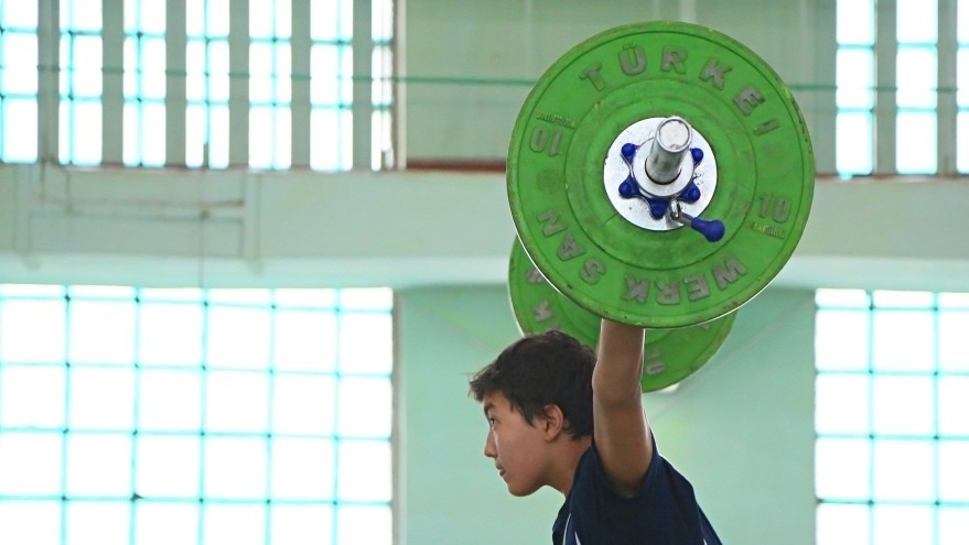 Иллюстрациялык сүрөт