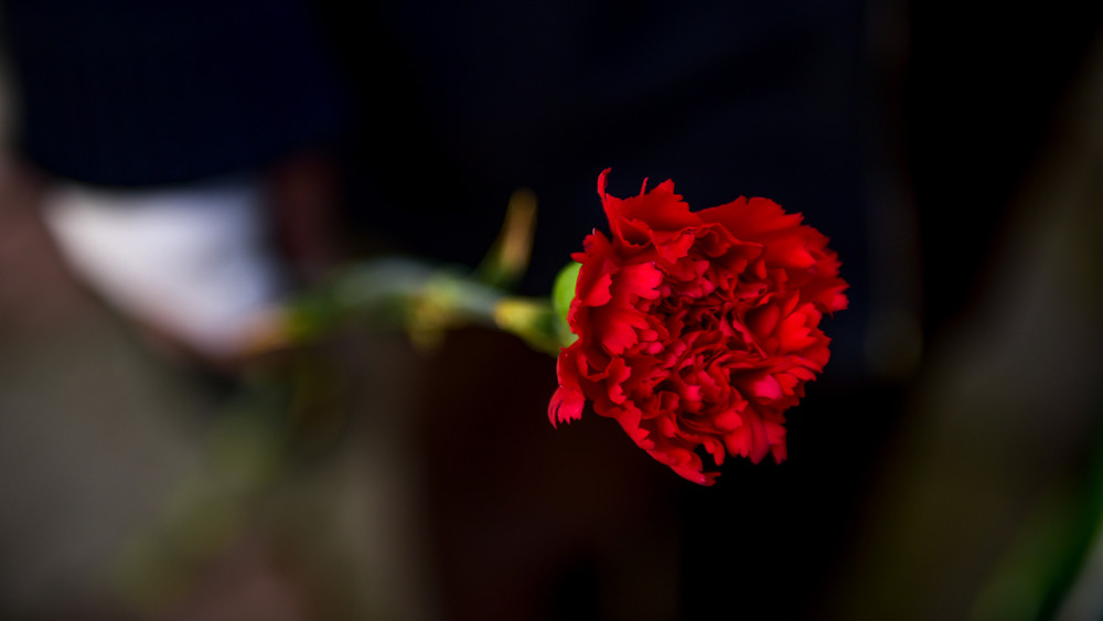 Иллюстрациялык сүрөт