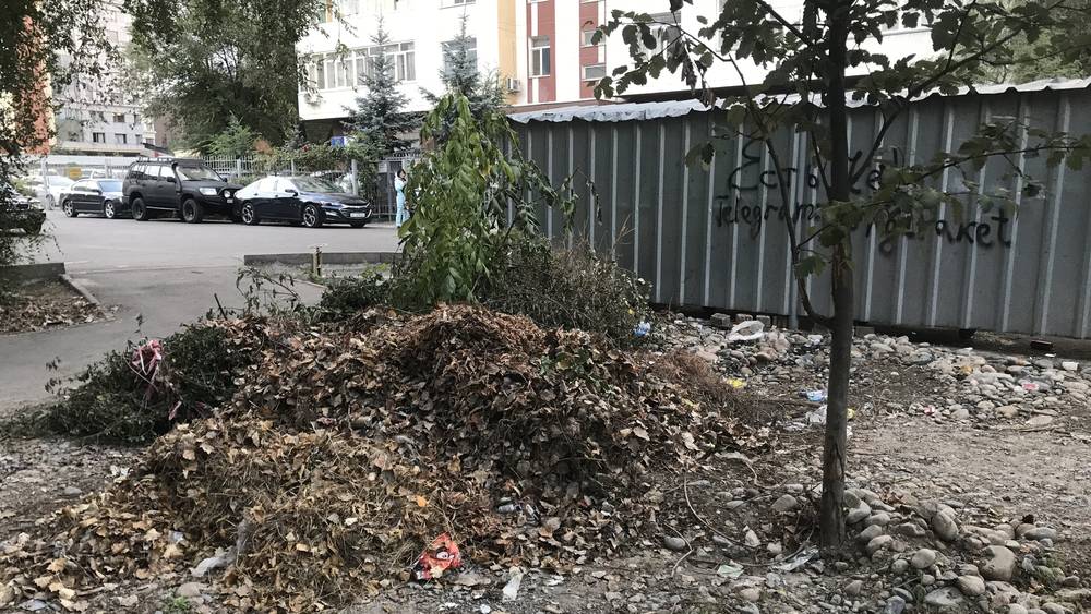 В 8 мкр не убирают мусор листву за мусорными баками. Фото