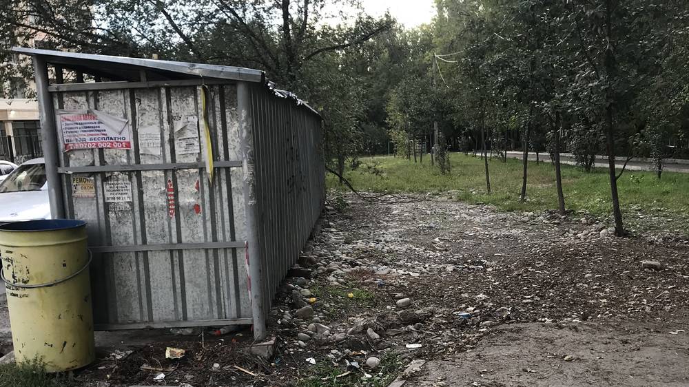 В 8 мкр убрали сухие ветки возле мусорных баков. Фото