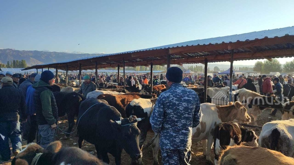 Иллюстрациялык сүрөт