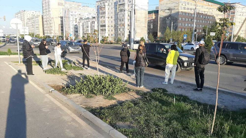 На Южной магистрали нет газона, возможно, его там организуют, - мэрия