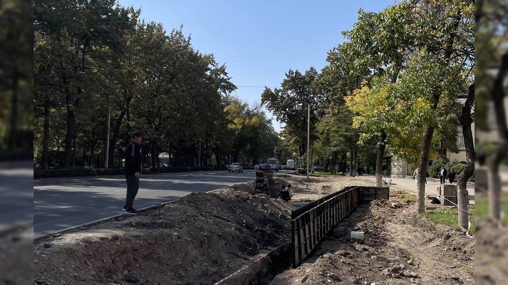 Возле налоговой вырубили деревья при реконструкции остановки