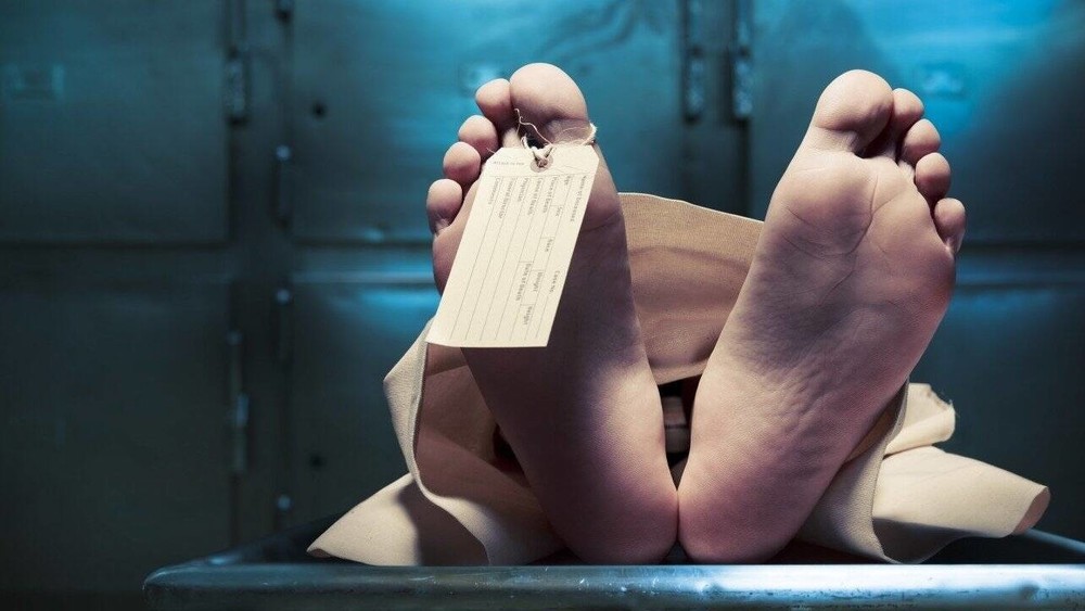 Иллюстрациялык сүрөт