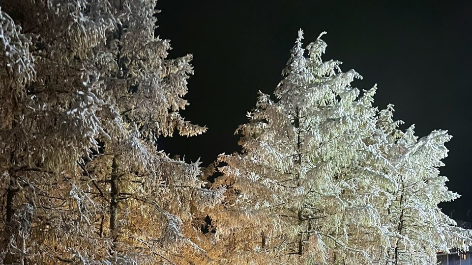 Иллюстрациялык сүрөт