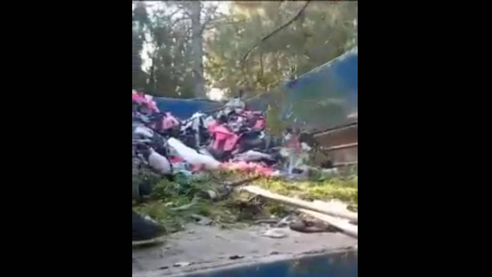 «Бишкекзеленхоз» провел уборку в парке на Айни-Бакаева. Видео