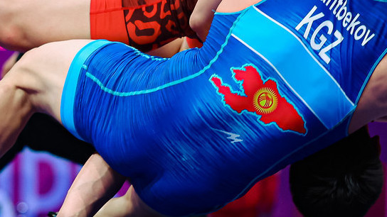 Иллюстрациялык сүрөт