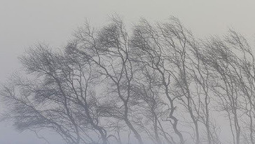 Иллюстрациялык сүрөт