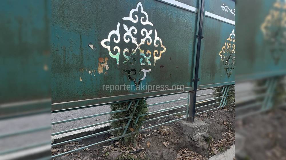 Туи по улице Фучика приперты к забору. Ответ мэрии