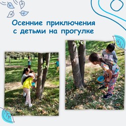 Синяя Птица