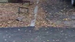 Горожанка жалуется на состояние нового тротуара на Уметалиева. Видео