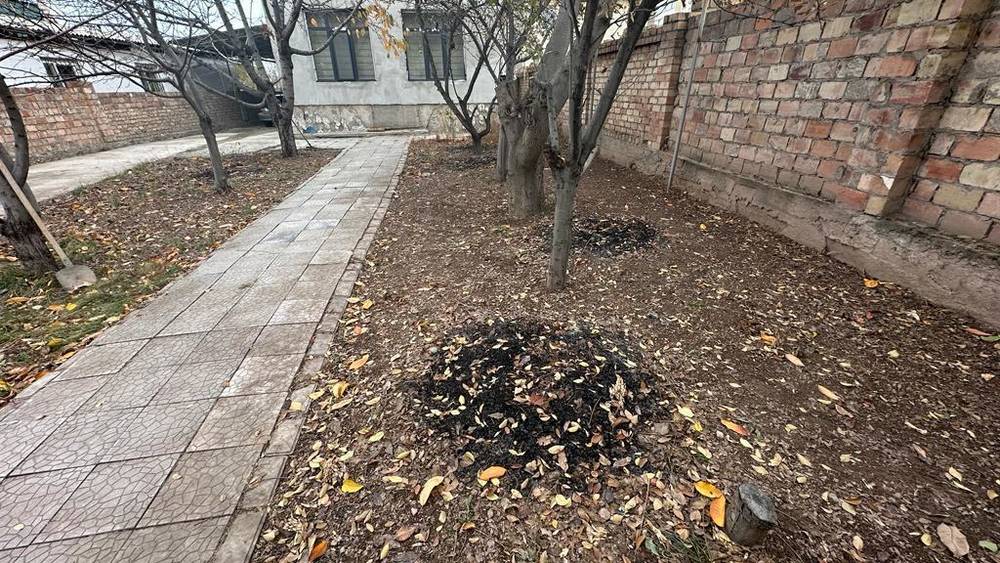 Жителя Көк-Жара оштрафовали за сжигание листвы, - мэрия