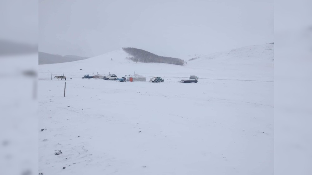 Зимовка пастухов в сомоне Тэлмэн