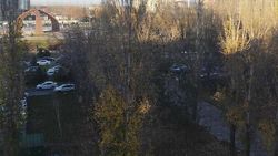 После фестиваля меда на территории Площади Победы организовали парковку, - горожанин