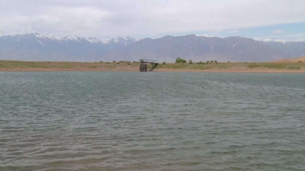 Иллюстрациялык сүрөт