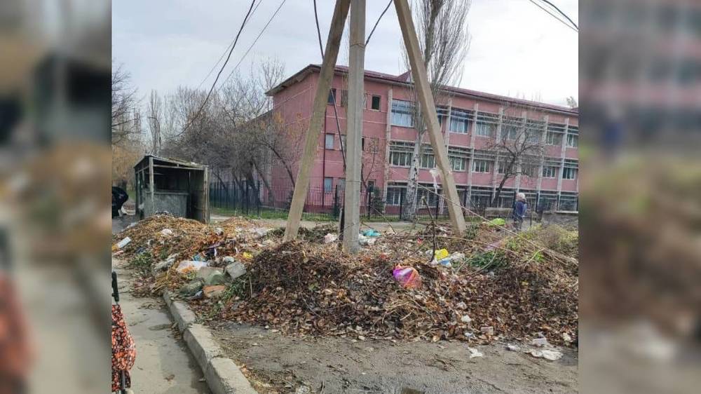 Возле школы №38 в Аламедин-1 образовалась свалка