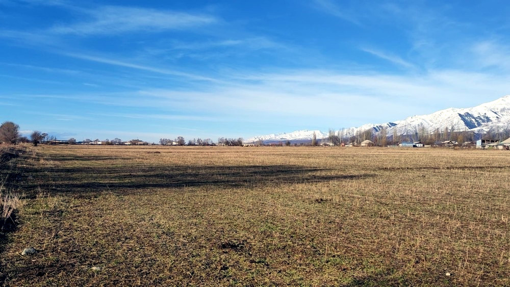 Иллюстрациялык сүрөт