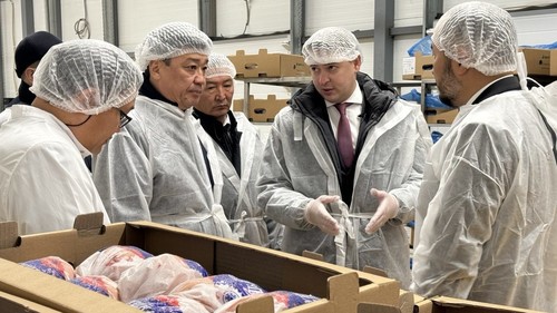 птицефабрики