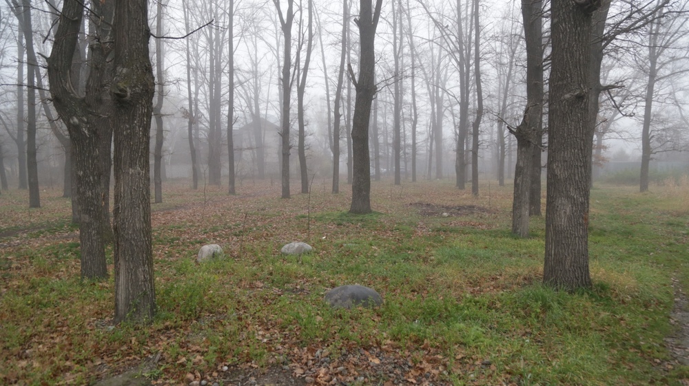 Иллюстрациялык сүрөт