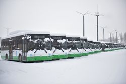 Горожанин интересуется, когда прибудут остальные 500 автобусов на газе?