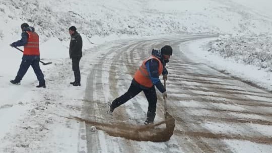 Иллюстрациялык сүрөт