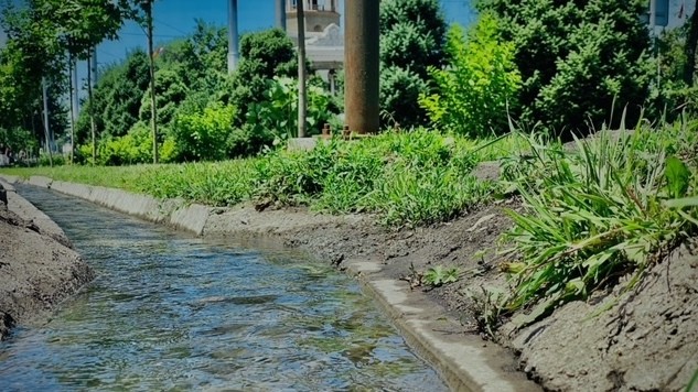 Иллюстрациялык сүрөт