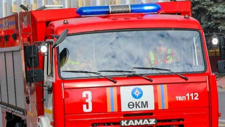 Иллюстрациялык сүрөт