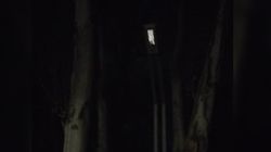 Горожанин просит поменять сгоревшие лампочки на Карагачевой роще